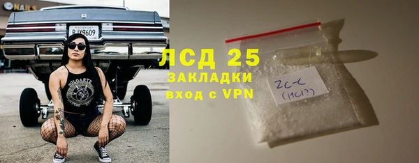 индика Богданович