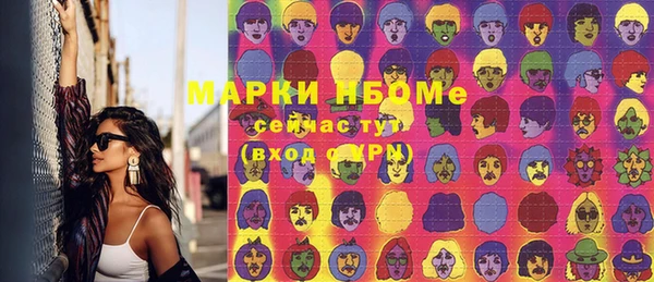 соль ск Богородицк