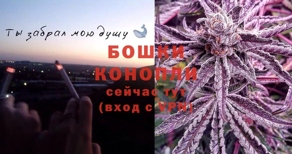 дурь Белокуриха