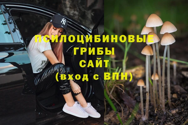 марихуана Беломорск