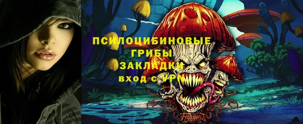индика Богданович