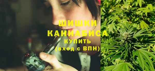 индика Богданович
