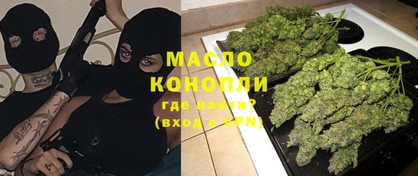 индика Богданович
