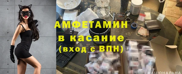 индика Богданович