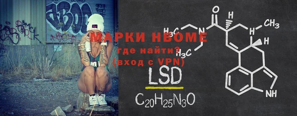 индика Богданович
