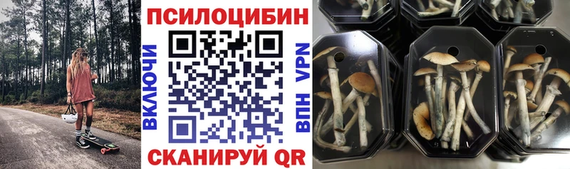 Галлюциногенные грибы Psilocybine cubensis  mega рабочий сайт  Воскресенск 
