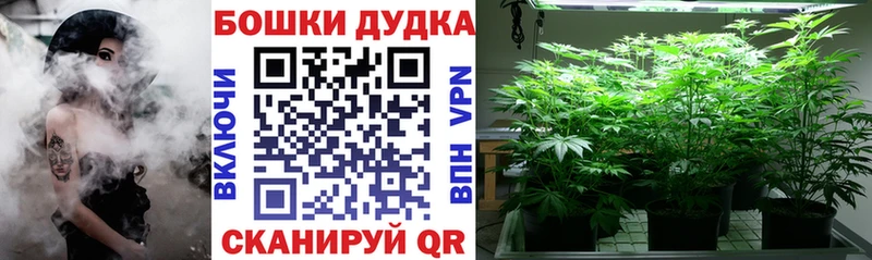 Шишки марихуана сатива  Воскресенск 